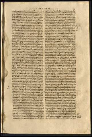 255