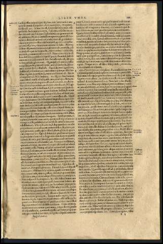 261
