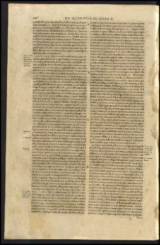 262