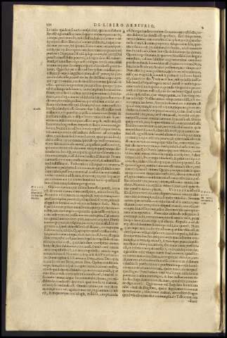 294