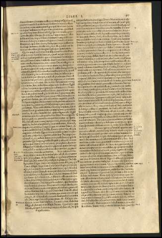 329