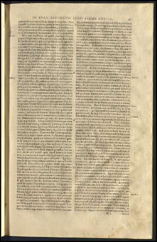 61