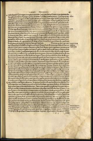 43
