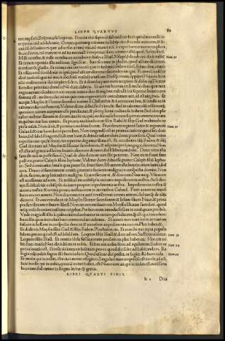 91