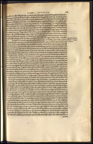 251