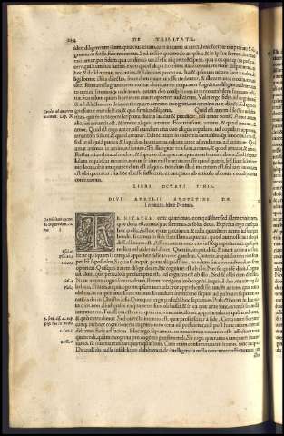 256