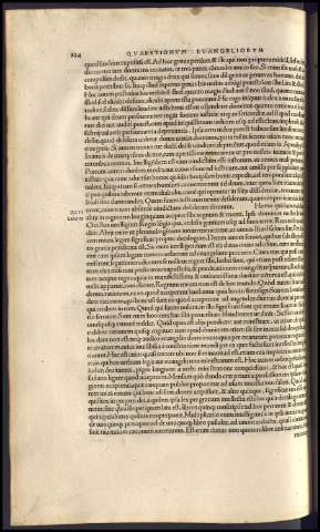 256