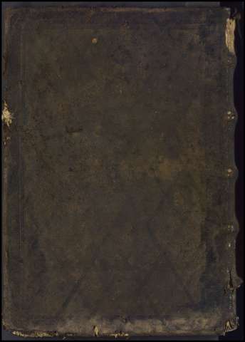 164