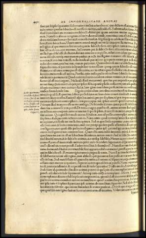 424