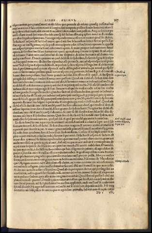591