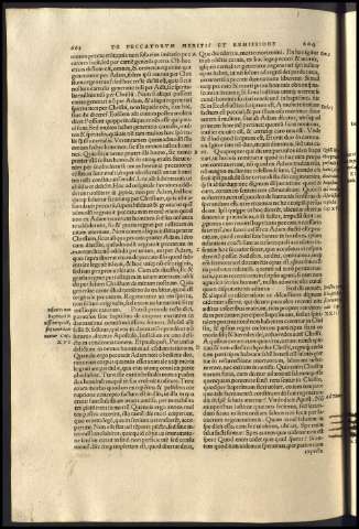 336