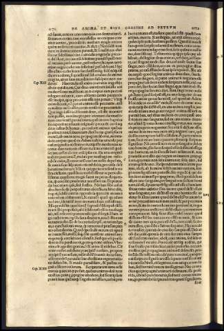 590