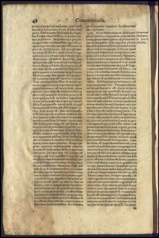 64
