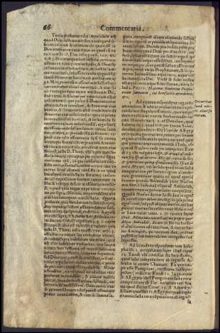 82