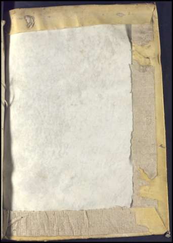 729