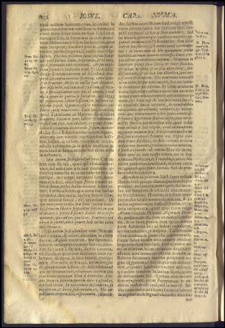 156