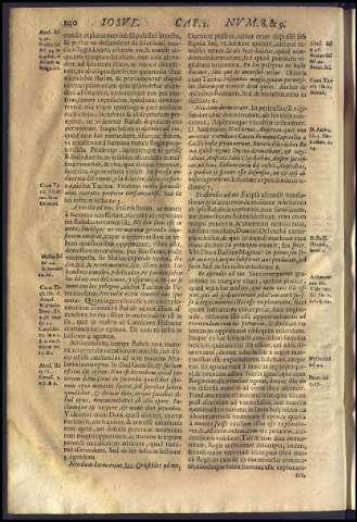 164