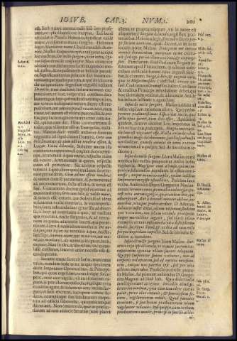 225