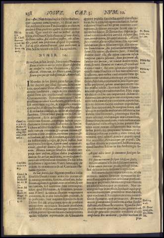 262