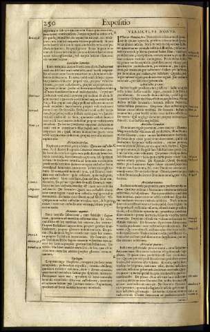 290