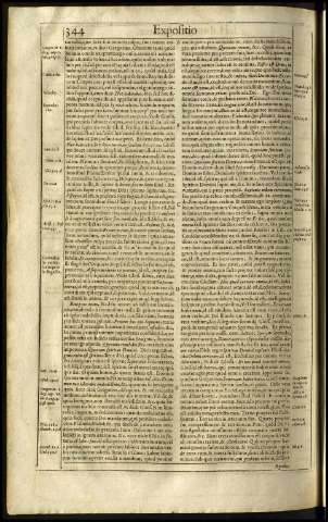 384