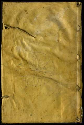 504