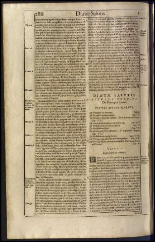 294