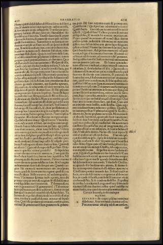 231