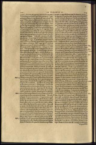 256