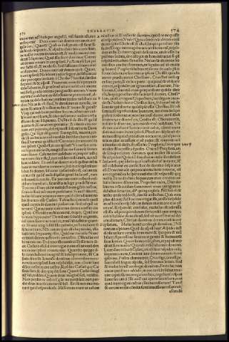 291