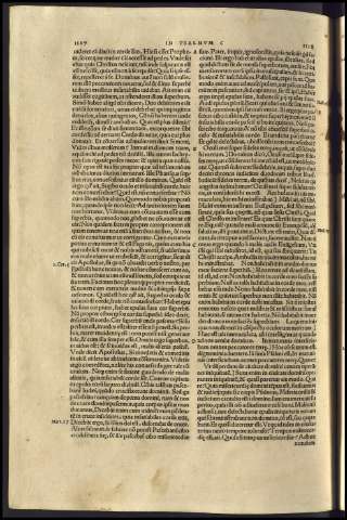 568