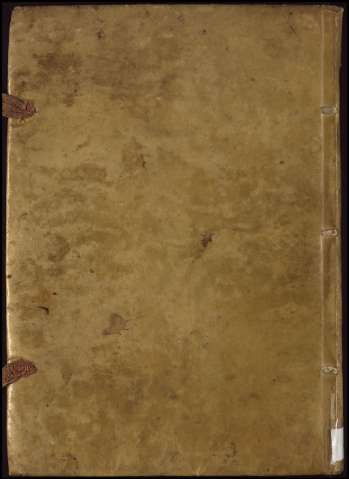 363