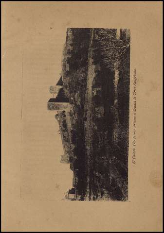 73