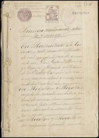 Imagen del registro